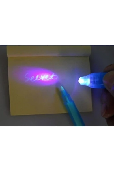 Kuzey Görünmez Kalem - Resim 2