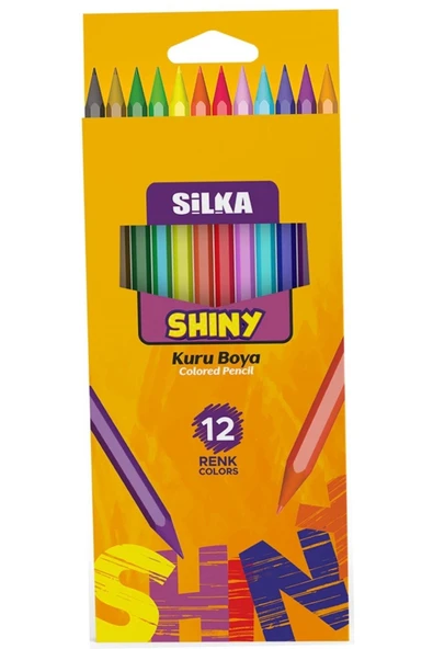 Silka Shıny Tam Boy Kuru Boya Kalemi 12'li X 6 Adet - Resim 3