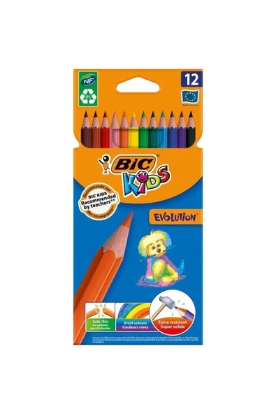 Bic Kuru Boya Evoltion Karton Kutu 12 Li 829029 ürün görseli