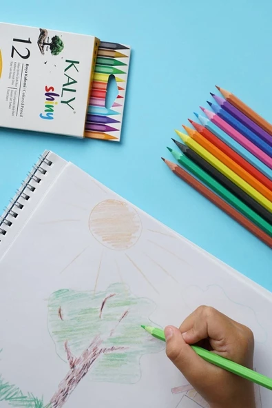 Silka Kaly 12 Renk Tam Boy Kuru Boya Seti ürün görseli 1