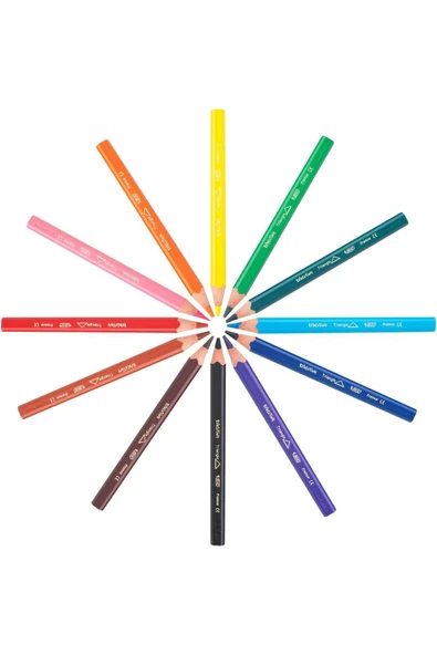 Bic Evolutıon Üçgen Jumbo Boya Kalemi 12 Renk-Kamp Bic-82973511 - 2
