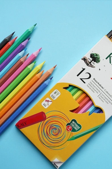 Silka Kaly 12 Renk Tam Boy Kuru Boya Seti - Resim 2