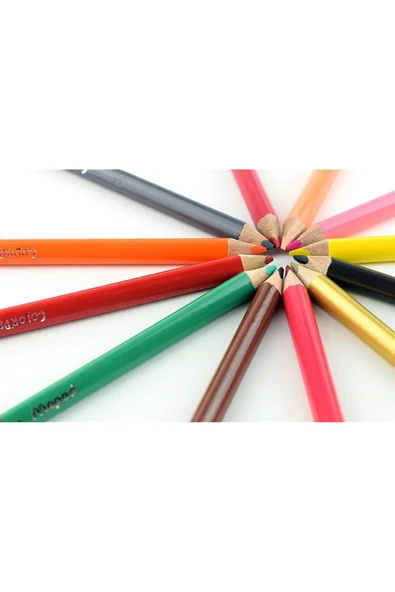 Maped Color Kolay Tutuş Tam Boy 48 Li Kuru Boya Kalemi - Resim 5