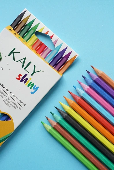 Silka Kaly 12 Renk Tam Boy Kuru Boya Seti - Resim 3