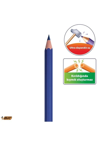 Bic Kuru Boya Kalemi Unisex Çocuk Kids Evolution 24 Renk - Resim 3