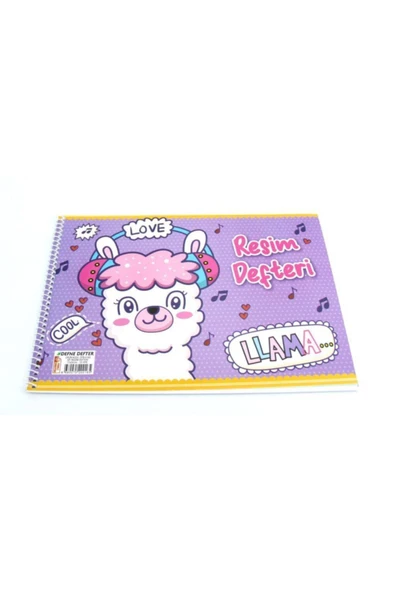 Defne Spiralli Karton Kapak Resim Defteri 17x24 Cm 15 Yaprak - Resim 2