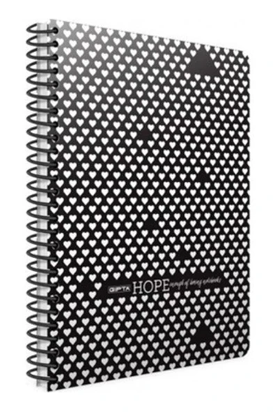 Gıpta Hope Spiralli Karton Kapak 18.5x26 Cm 80 Yaprak Kareli Defter - Resim 5