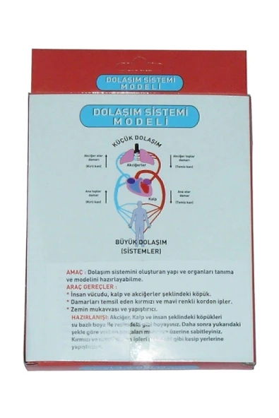 Kar Dolaşım Sistemi Modeli - 1