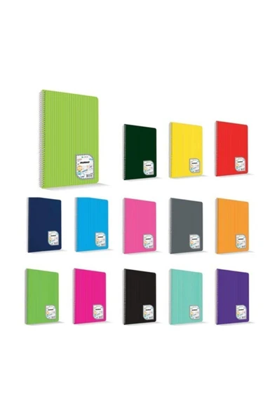 NO NAME Çınar Colormaxi Spiralli Defter Plastik Kapak Kareli 120 Yp A4 120/4 73008 ürün görseli 1