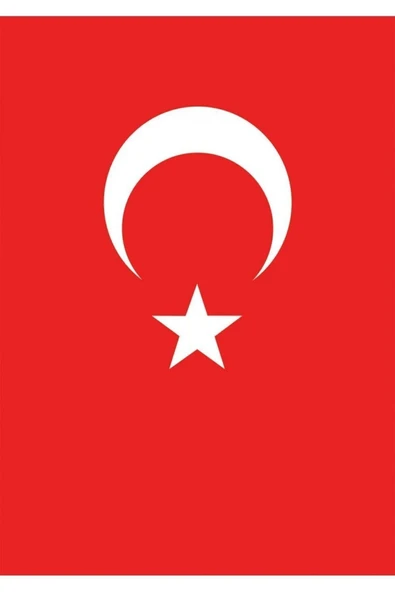 Vatan Bayrak VATAN/70*105 POLYES.TÜRK BAYRAĞI ürün görseli 1