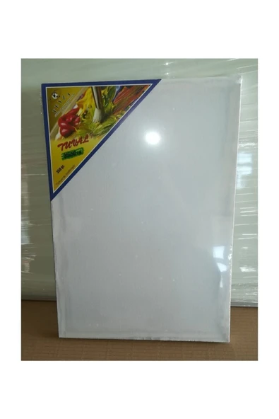 Feyza 35x50 Resim Tuval - Resim 2