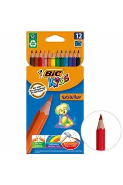 Ema Çocuk Ema Büyük Boyama Kitabı Bic Evolutıon 12 Renk Evolitions Kuruboya - 3