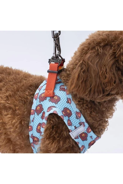 Pawstar Bears Air-mesh Göğüs Tasması Kedi Köpek Göğüs Tasması - Resim 8