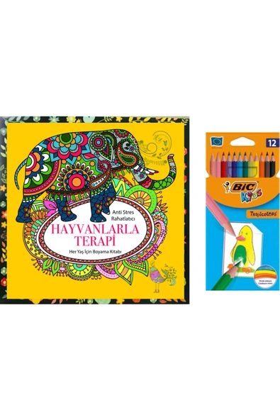 Bic Mandala Büyükler Için Boyama 12 Renk Kuru Boya Kalemi M.s ürün görseli