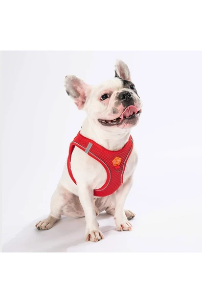 Pawstar Kırmızı Air-mesh Göğüs Tasması Kedi Köpek Göğüs Tasması - 3