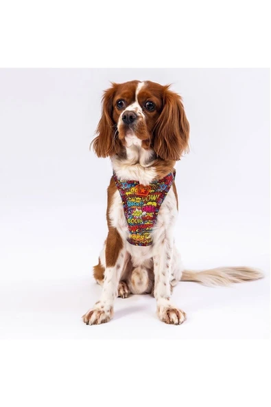 Pawstar Air-mesh Wow Kedi Köpek Göğüs Tasması - 3