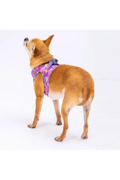 Pawstar Rosea Camouflage Air-mesh Kedi Köpek Göğüs Tasması - 8