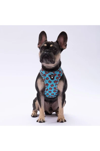 Pawstar Bears Air-mesh Göğüs Tasması Kedi Köpek Göğüs Tasması ürün görseli