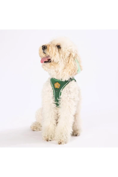 Pawstar Çam Yeşili Air-mesh Göğüs Tasması Kedi Köpek Göğüs Tasması - 3