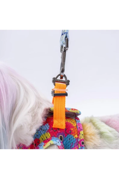 Pawstar Monsters Air-mesh Göğüs Tasması Kedi Köpek Göğüs Tasması - Resim 6