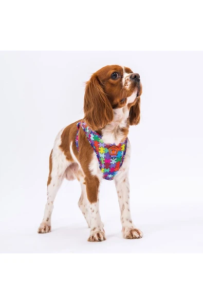 Pawstar Puzzle Air-mesh Göğüs Tasması Kedi Köpek Göğüs Tasması - 3