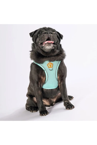 Pawstar Mint Air-mesh Göğüs Tasması Kedi Köpek Göğüs Tasması - 3
