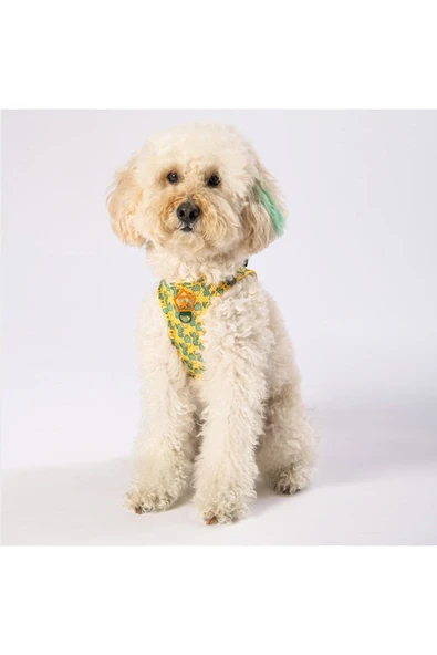 Pawstar Cactus Air-mesh Göğüs Tasması Kedi Köpek Göğüs Tasması - Resim 7