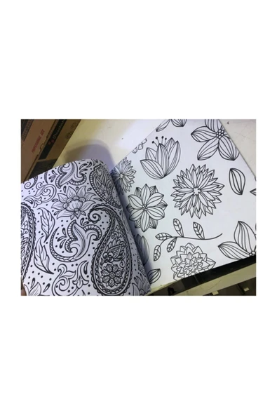 ONE SPRAY TATTOO Büyükler Için Boyama Kitabı 4 Kitap 4 Kutu Boya Seti M.s - 5
