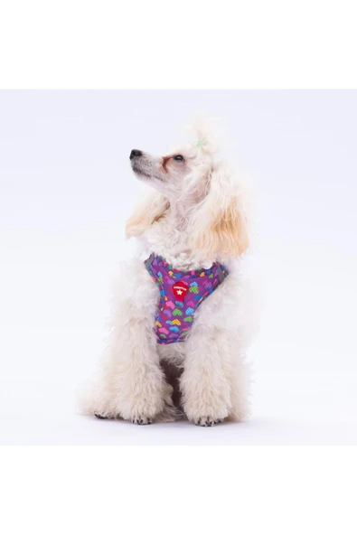 Pawstar Hearts Air-mesh Kedi Köpek Göğüs Tasması ürün görseli