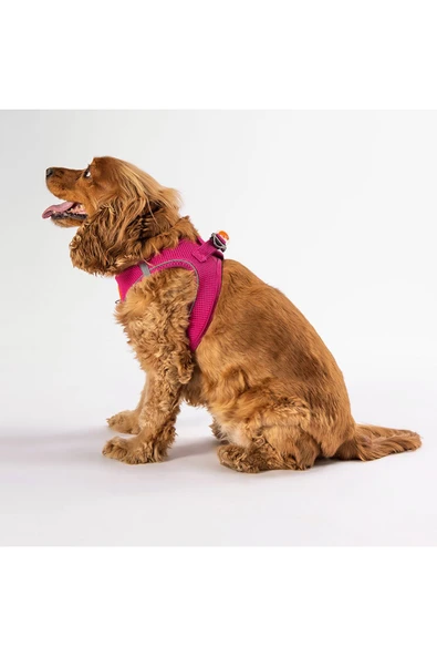 Pawstar Air-mesh Fucshia Kedi Köpek Göğüs Tasması - 4