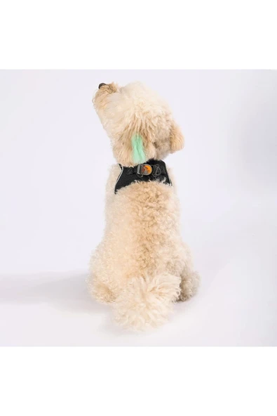 Pawstar Siyah Air-mesh Göğüs Tasması Kedi Köpek Göğüs Tasması - Resim 4