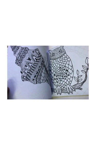 ONE SPRAY TATTOO Büyükler Için Boyama Kitabı 4 Kitap 4 Kutu Boya Seti M.s - 8