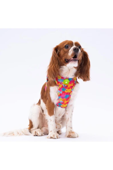 Pawstar Monsters Air-mesh Göğüs Tasması Kedi Köpek Göğüs Tasması ürün görseli