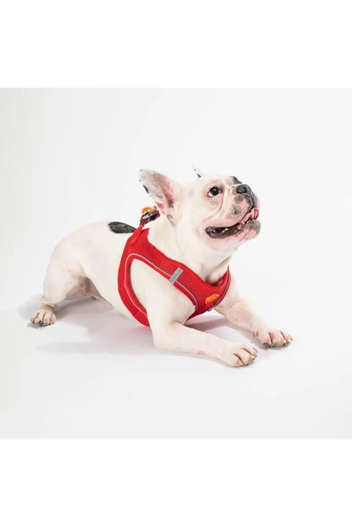 Pawstar Kırmızı Air-mesh Göğüs Tasması Kedi Köpek Göğüs Tasması - 4