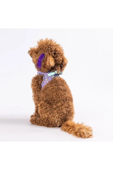 Pawstar Ice Cream Air-mesh Göğüs Tasması Kedi Köpek Göğüs Tasması - Resim 7