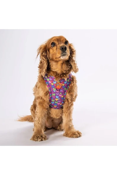 Pawstar Hearts Air-mesh Kedi Köpek Göğüs Tasması - Resim 6