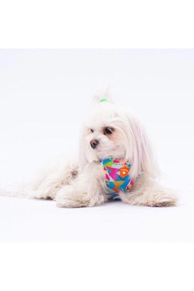 Pawstar Mosaic Air-mesh Göğüs Tasması Kedi Köpek Göğüs Tasması ürün görseli