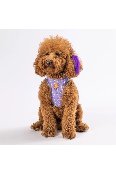 Pawstar Ice Cream Air-mesh Göğüs Tasması Kedi Köpek Göğüs Tasması - Resim 6