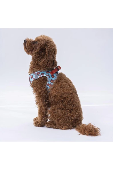 Pawstar Bears Air-mesh Göğüs Tasması Kedi Köpek Göğüs Tasması - Resim 6