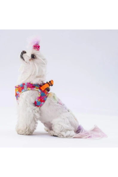 Pawstar Monsters Air-mesh Göğüs Tasması Kedi Köpek Göğüs Tasması - Resim 4