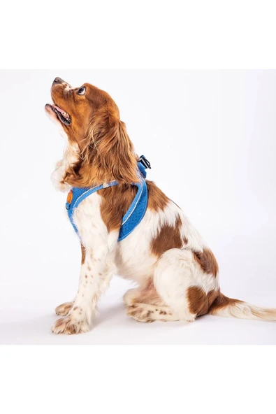 Pawstar Royal Blue Air-mesh Göğüs Tasması Kedi Köpek Göğüs Tasması - 4