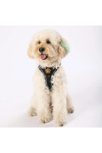 Pawstar Siyah Air-mesh Göğüs Tasması Kedi Köpek Göğüs Tasması - Resim 3