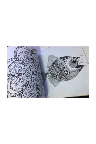 ONE SPRAY TATTOO Büyükler Için Boyama Kitabı 4 Kitap 4 Kutu Boya Seti M.s - 4