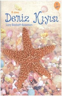 Deniz Kıyısı İlk Okuma ürün görseli 1