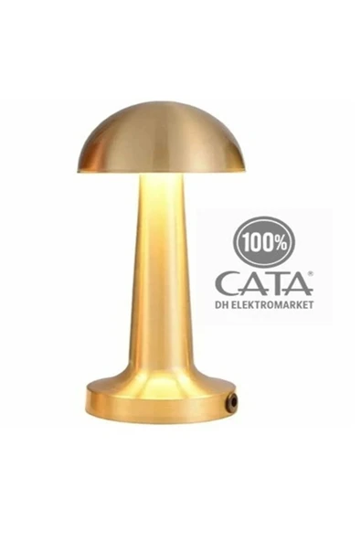 Cata Lizbon Antik Şarjlı Masa Lambası CT 8429 - 3