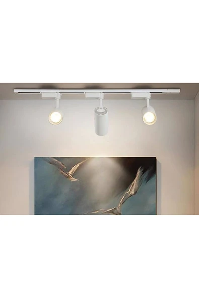 Cata Ct-5333G 30W Beyaz Babil Led Ray Spot Armatür 3200K (Günışığı) - 2
