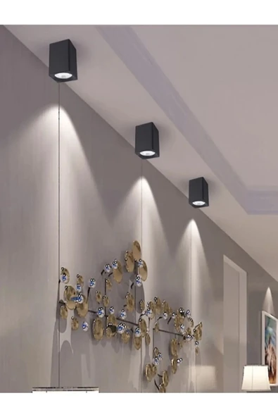 Cata Bergama Siyah Platin Sıva Üstü Kare Dekoratif Armatür Ct-5420SB - 2