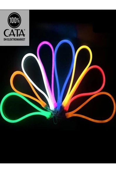 Cata 50 METRE CT 4455 12V Neon Led Hortum