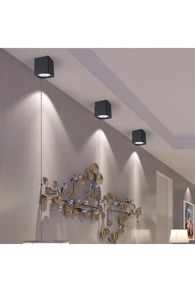 Cata Bergama Siyah Platin Sıva Üstü Kare Dekoratif Armatür Ct-5420sp - 2