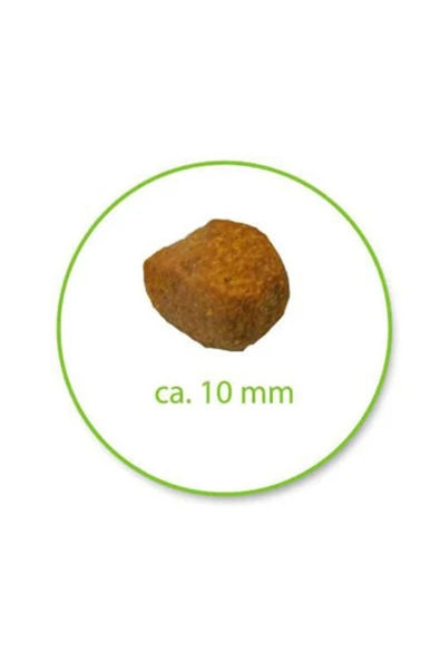 Royal Canin Oral Care Kedi Maması 1,5 Kg ürün görseli